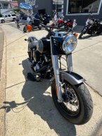 Thumbnail Photo 2 for 2014 Harley-Davidson Softail