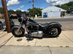 Thumbnail Photo 5 for 2014 Harley-Davidson Softail