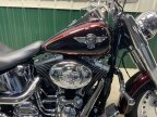 Thumbnail Photo 2 for 2014 Harley-Davidson Softail
