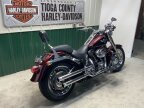 Thumbnail Photo 5 for 2014 Harley-Davidson Softail