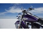 Thumbnail Photo 4 for 2014 Harley-Davidson Softail