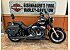 2014 Harley-Davidson Softail