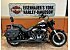 2014 Harley-Davidson Softail