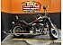 2014 Harley-Davidson Softail