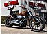 2014 Harley-Davidson Softail