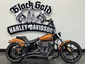 2014 Harley-Davidson Softail