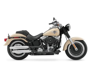 2014 Harley-Davidson Softail