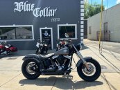 2014 Harley-Davidson Softail