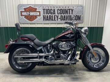 2014 Harley-Davidson Softail