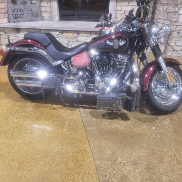 2014 Harley-Davidson Softail
