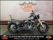 2014 Harley-Davidson Softail