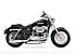 2014 Harley-Davidson Sportster 1200 Custom