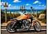 2014 Harley-Davidson Sportster