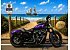 2014 Harley-Davidson Sportster