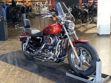 2014 Harley-Davidson Sportster 1200 Custom