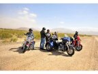Thumbnail Photo 5 for 2014 Harley-Davidson Trike