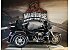 2014 Harley-Davidson Trike
