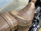 Thumbnail Photo 4 for 2014 Indian Chief Vintage