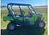 2014 Kawasaki Teryx4 LE