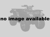 2015 CFMoto CForce 500