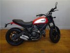 Thumbnail Photo 2 for 2015 Ducati Scrambler