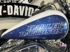 Thumbnail Photo 4 for 2015 Harley-Davidson Dyna