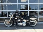 Thumbnail Photo 3 for 2015 Harley-Davidson Softail