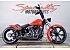 2015 Harley-Davidson Softail