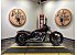 2015 Harley-Davidson Softail