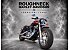 2015 Harley-Davidson Sportster