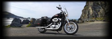 2015 Harley-Davidson Sportster