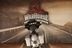 Thumbnail Photo 2 for 2015 Harley-Davidson Touring Street Glide Special