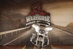 Thumbnail Photo 6 for 2015 Harley-Davidson Touring Street Glide Special