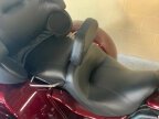 Thumbnail Photo 5 for 2015 Harley-Davidson Trike