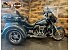2015 Harley-Davidson Trike