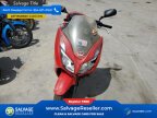 Thumbnail Photo 3 for New 2015 Honda Forza