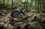 Thumbnail Photo 2 for 2015 Polaris Ace 570