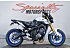 2015 Yamaha FZ-09
