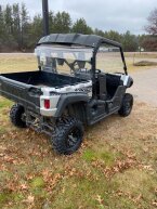 Thumbnail Photo 2 for 2015 Yamaha Viking