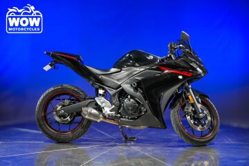 2015 Yamaha YZF-R3