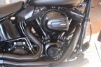 Thumbnail Photo 4 for 2016 Harley-Davidson Softail