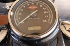 Thumbnail Photo 6 for 2016 Harley-Davidson Softail