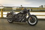 Thumbnail Photo 3 for 2016 Harley-Davidson Softail Fat Boy S