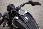 Thumbnail Photo 6 for 2016 Harley-Davidson Softail Fat Boy S