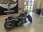 Thumbnail Photo 1 for 2016 Harley-Davidson Softail