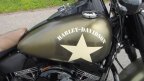 Thumbnail Photo 6 for 2016 Harley-Davidson Softail Slim