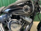 Thumbnail Photo 5 for 2016 Harley-Davidson Softail