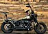 2016 Harley-Davidson Softail