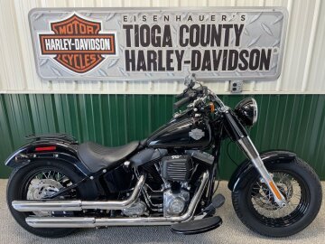 2016 Harley-Davidson Softail