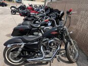 2016 Harley-Davidson Sportster